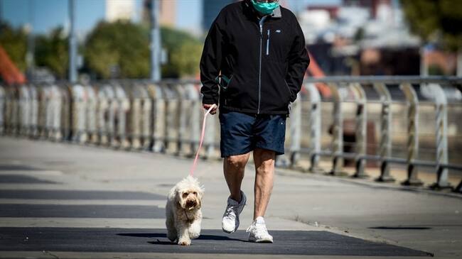 Para sacar mascotas o asistir a quienes requieren atención no hay restricción. Foto: Getty Images