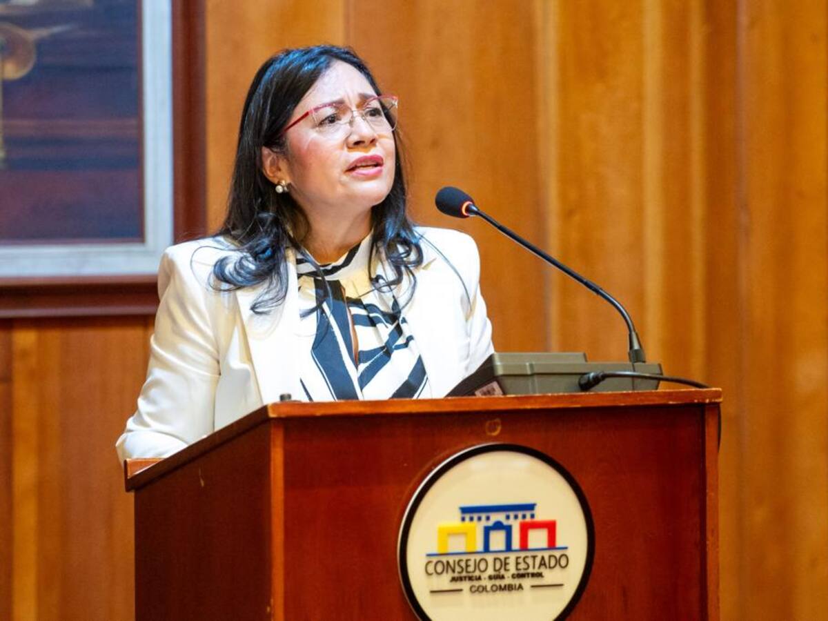 Consejo de Estado eligió a María Anayme Barón como auditora general