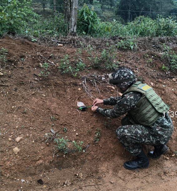 Ejército Nacional. Foto: cortesía.