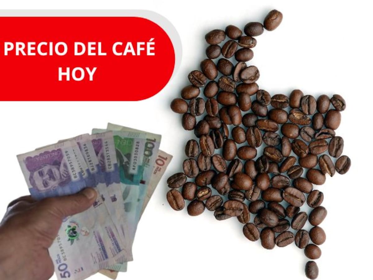 Precio del café para el día de HOY en Colombia, 15 de mayo, según la FNC: volvió a caer