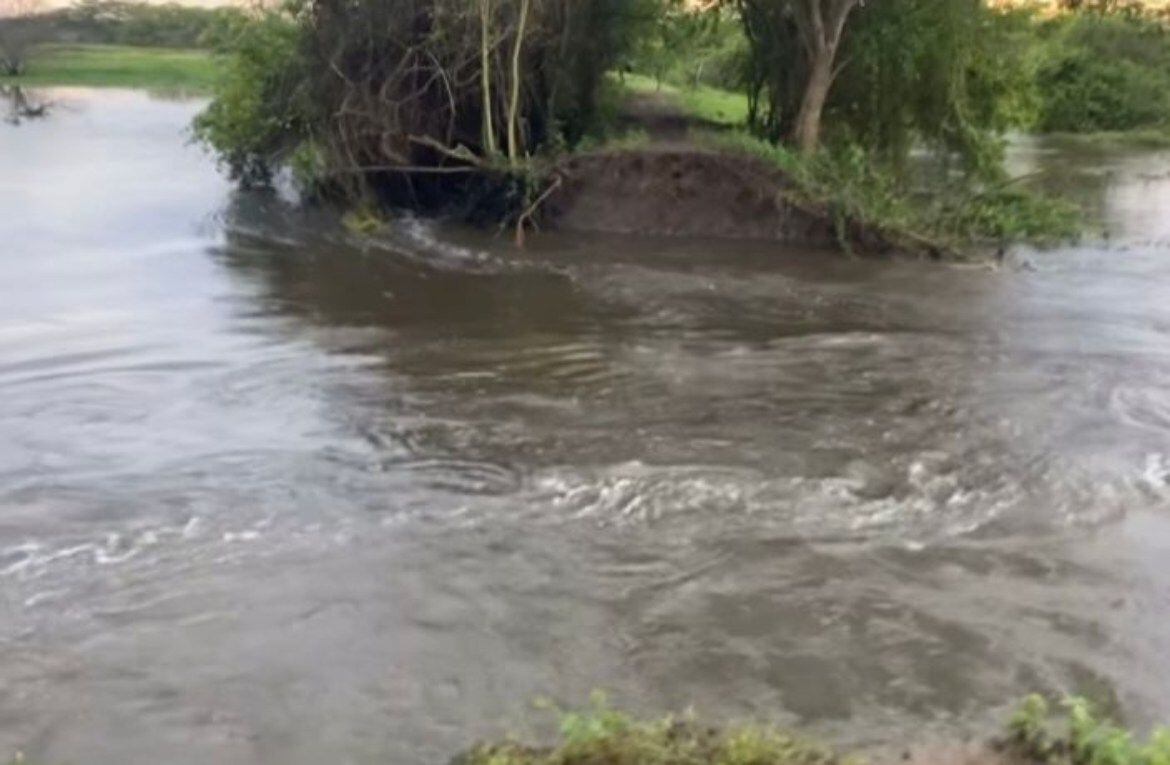 El rompimiento se dio a la altura de la hacienda Socorro, en el sector de Dique Viejo. Crédito: Cortesía.