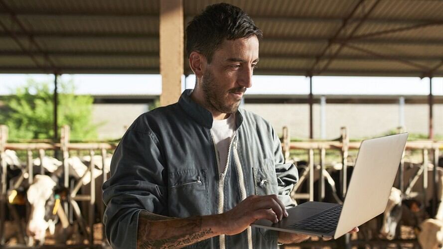 Pasos para descargar el certificado del ICA. Foto: Getty Images