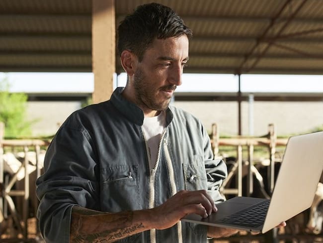 Pasos para descargar el certificado del ICA. Foto: Getty Images