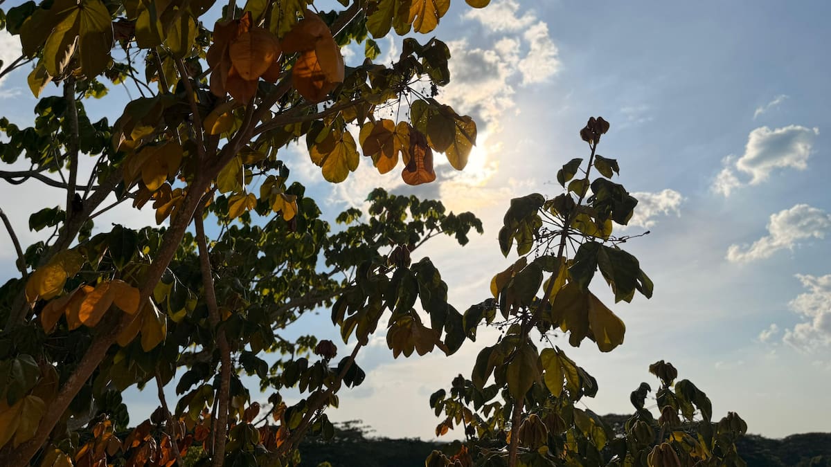 Alerta por altas temperaturas en Córdoba: algunas zonas han alcanzado los 49 °C