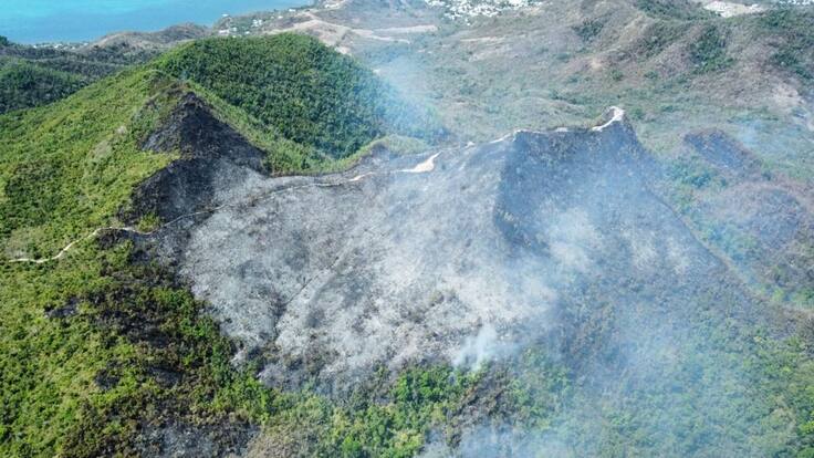 Un agricultor sería el responsable del incendio en Providencia: director de Coralina