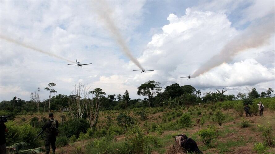 No hay ambiente para el uso del Glifosato: Gobernadores de Cauca y Norte de Santander . Foto: Colprensa