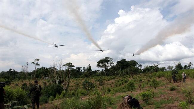 No hay ambiente para el uso del Glifosato: Gobernadores de Cauca y Norte de Santander . Foto: Colprensa