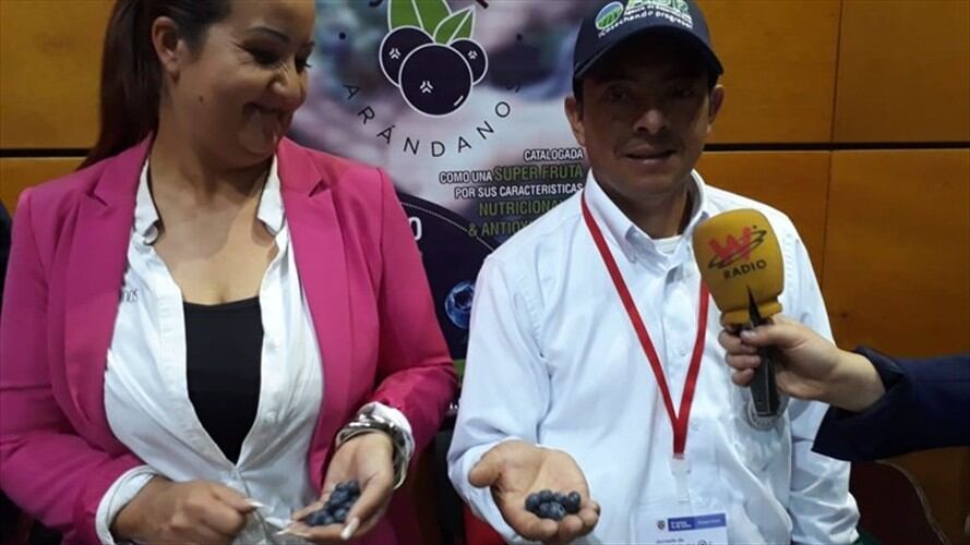 Investigación en cacao, café, caña panelera, frutales y hortalizas.. Foto: La W