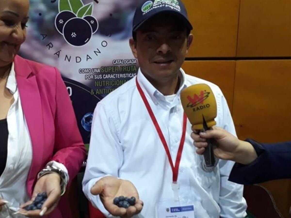 Colciencias promueve más de 50 proyectos de investigación en Boyacá por $10.000 millones