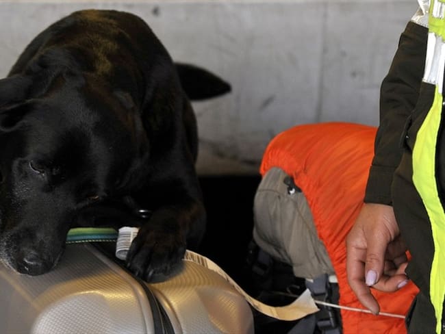 La Policía sí estaba enterada de la salida de este vuelo y que, por alguna razón, decidieron que no era necesaria su inspección. Foto: Getty Images