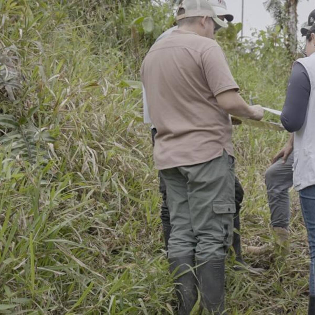 Avanza la búsqueda de personas desaparecidas en Nariño tras acuerdo de paz territorial