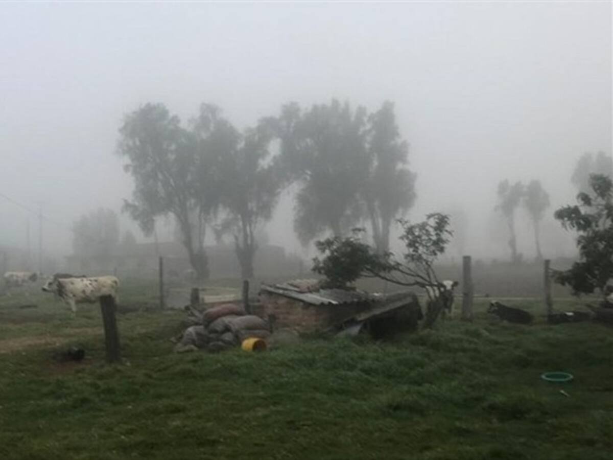 Alerta en 40 municipios de Boyacá por heladas en pastos y cultivos