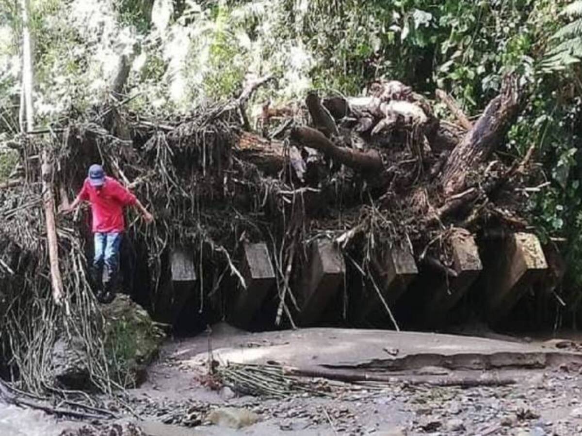 Paulatinamente regresa el servicio de agua a Villamaría, Caldas