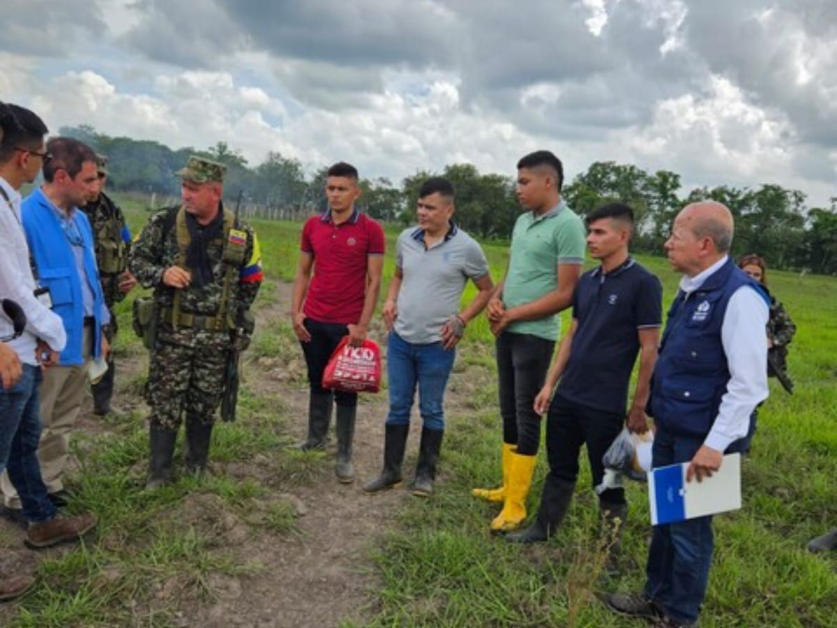 Liberaron a cuatro personas que estaban en poder de las disidencias de las Farc