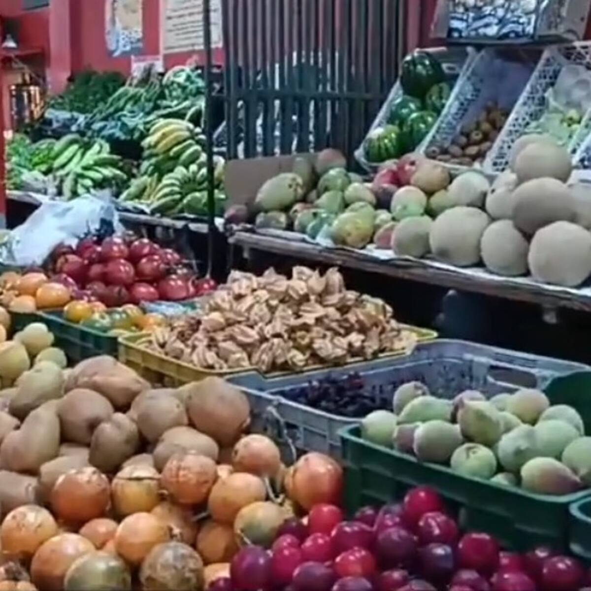 Hay alzas en precios de la canasta familiar por salida de productos hacia Venezuela