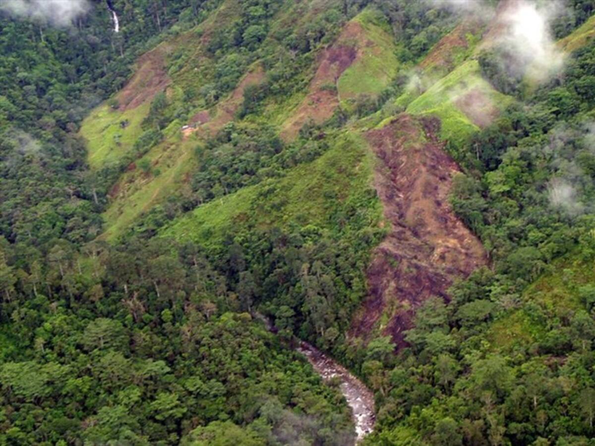 Amenazan a lideresa social de la Sierra Nevada por supuesto regreso de ‘El Patrón’