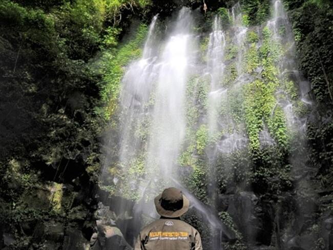 ¿Eres amante de las competencias extremas? 'The jungle marathon' es un verdadero desafío