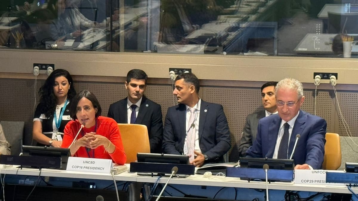 Estas son las 6 apuestas de Colombia con el portafolio para la transición climática