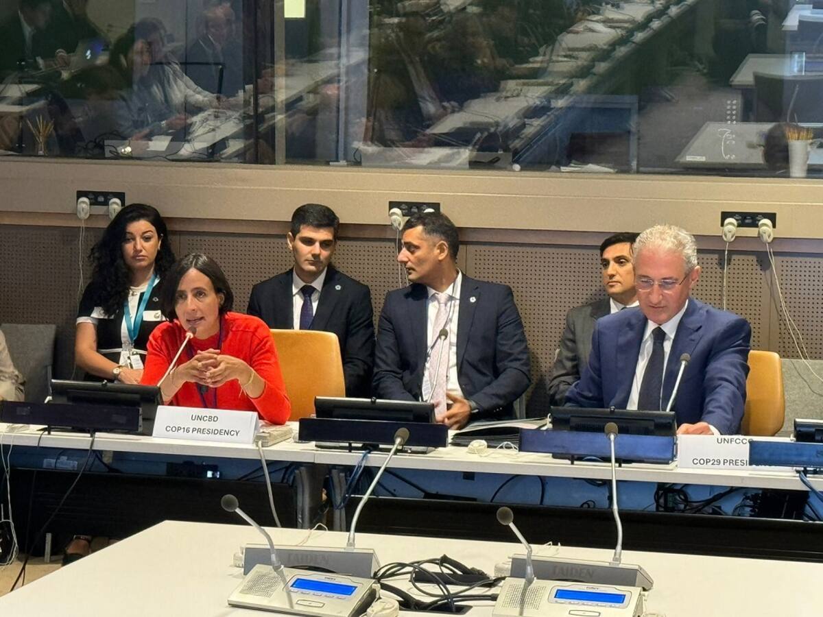 Estas son las 6 apuestas de Colombia con el portafolio para la transición climática