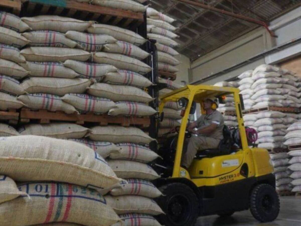 “En el 2025, Colombia tendrá la mayor producción de café en más de tres décadas”: Gerente de la FNC