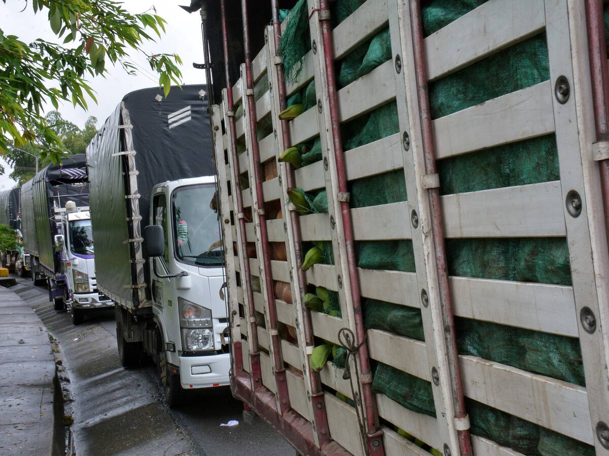 Afectaciones en Ecuador por bloqueos en vía Panamericana: “pérdidas de 200.000 dólares”