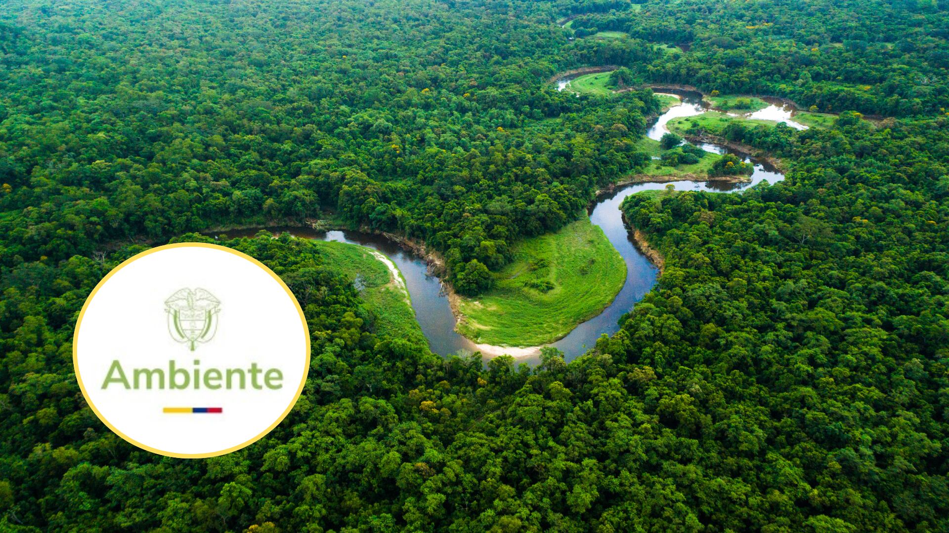 Selva de Amazonas. Foto: GettyImages, - Logo: Minambiente.