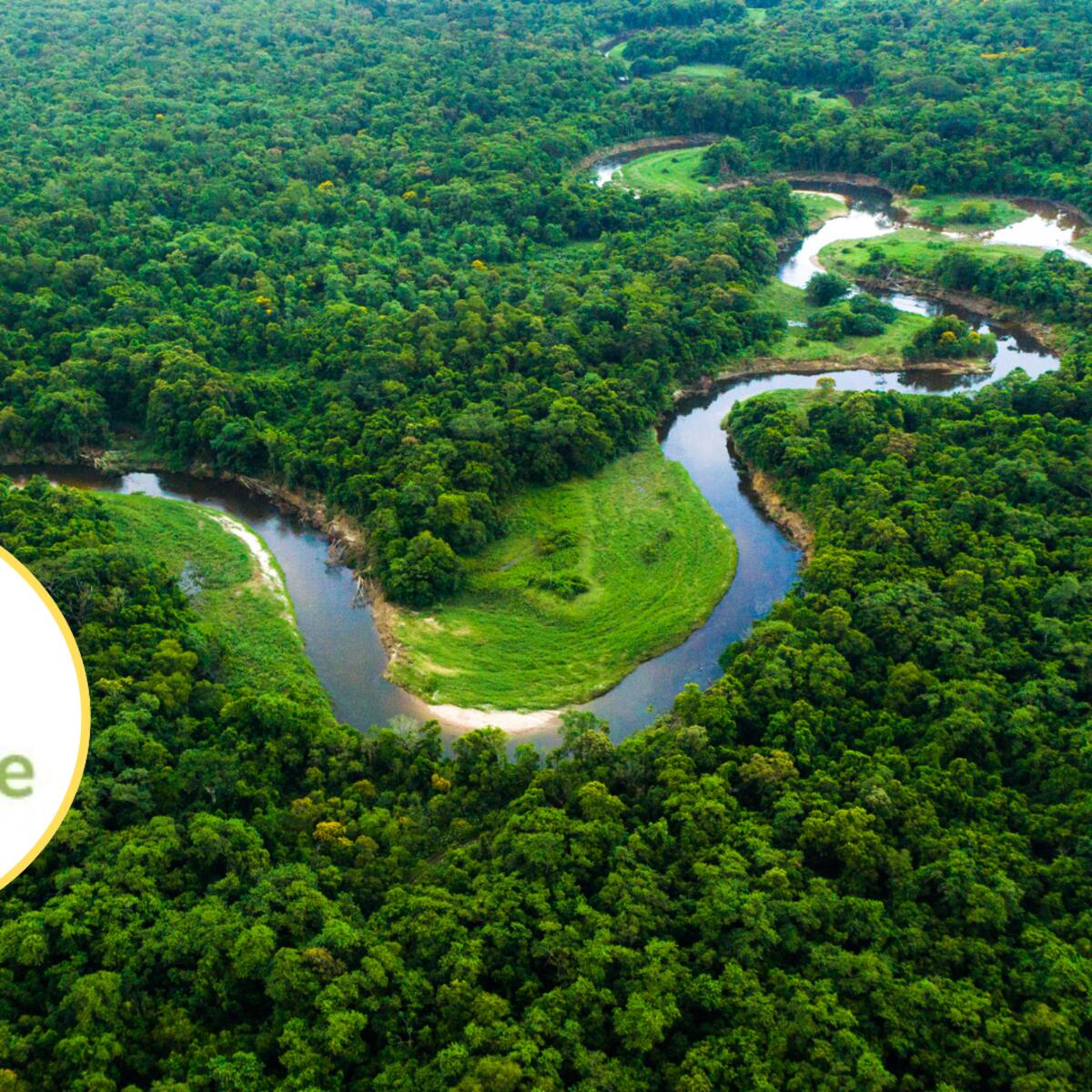 MinAmbiente reportó 113.608 hectáreas deforestadas en 2024; alerta en la Amazonía