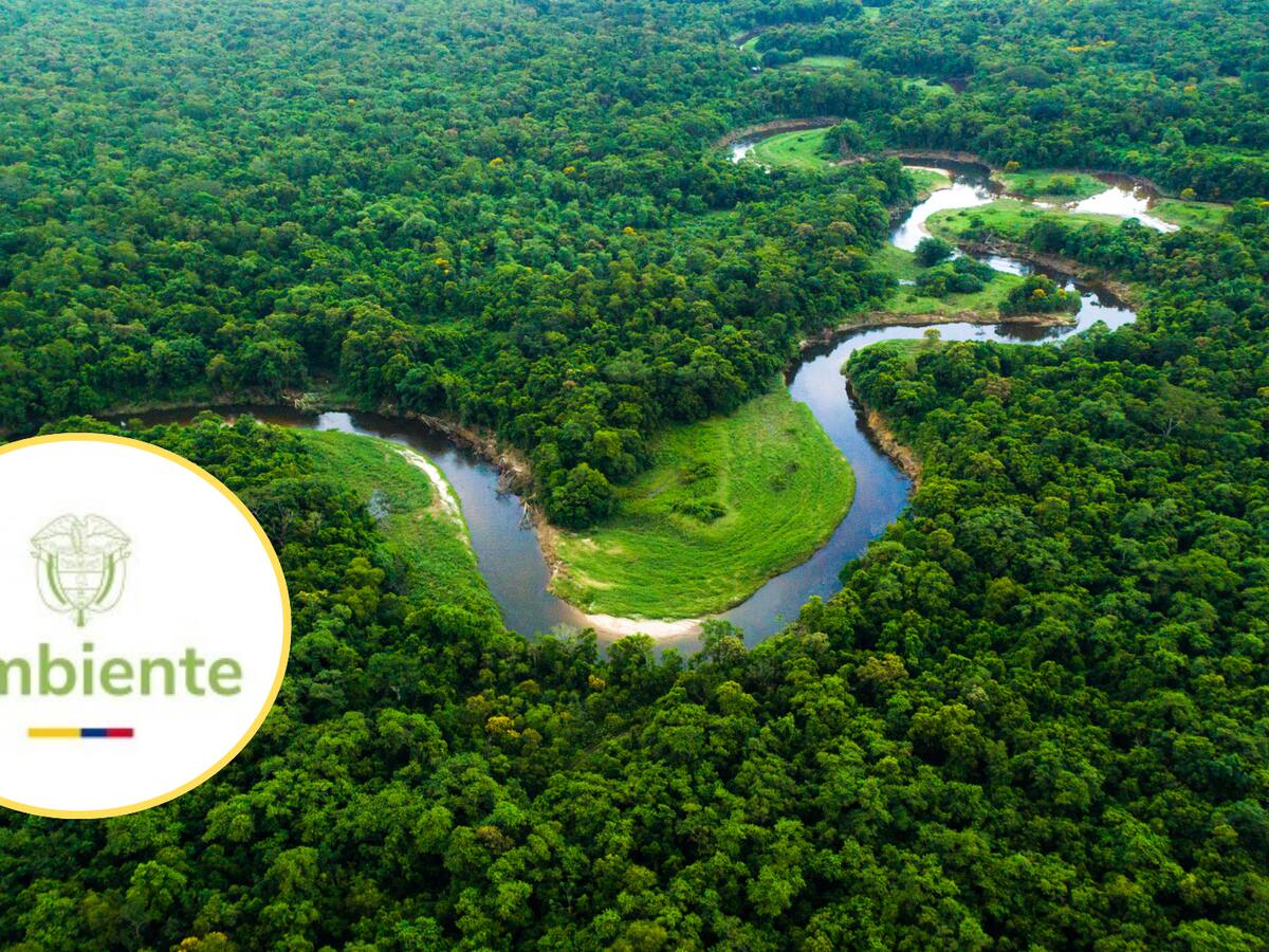 MinAmbiente reportó 113.608 hectáreas deforestadas en 2024; alerta en la Amazonía
