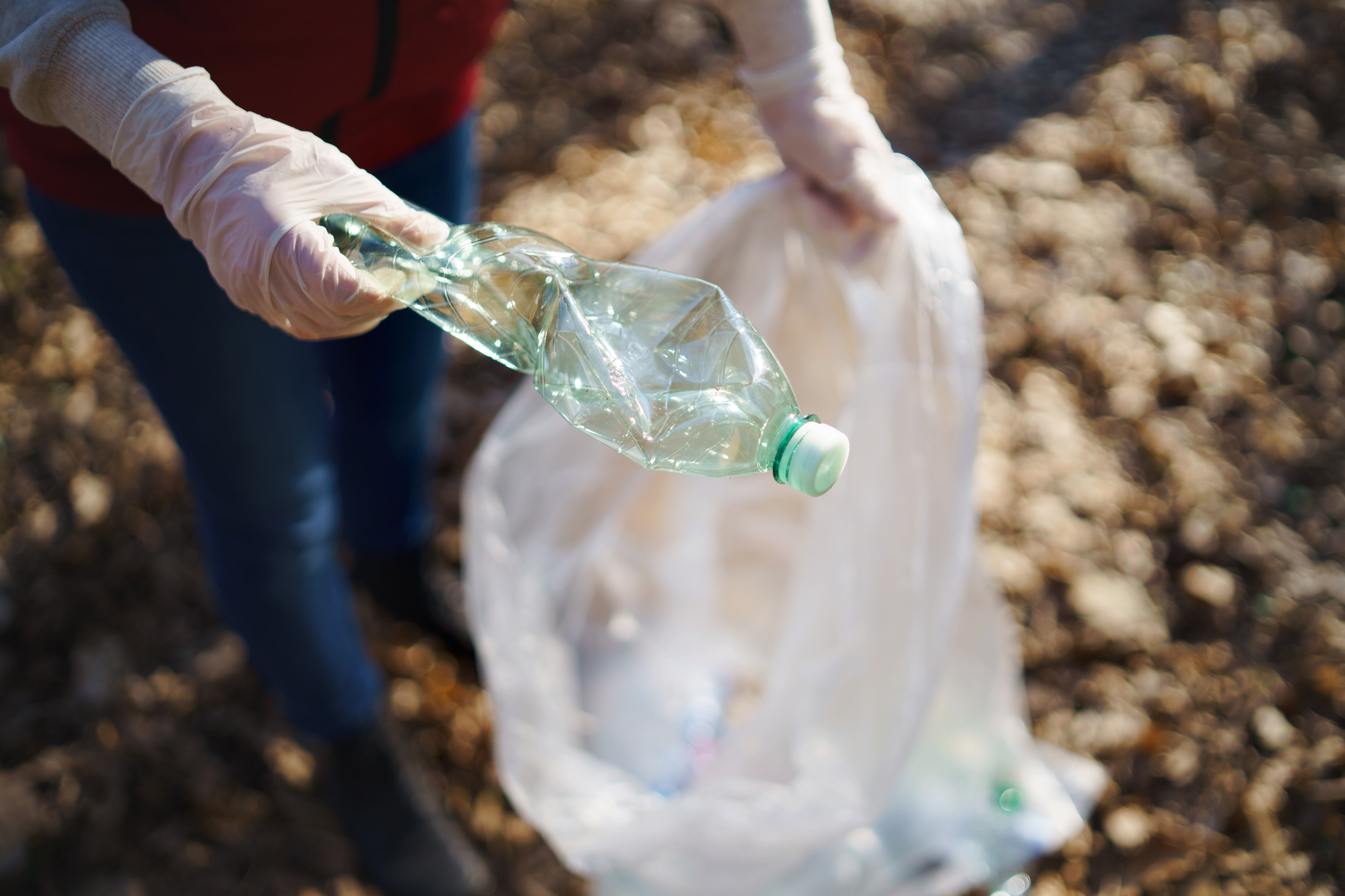 Midsection of woman cleaning forest, putting plastic bottle in a bag.