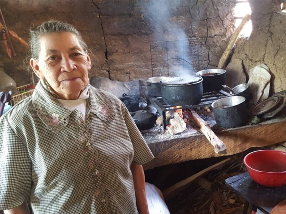 Nariño quiere bajar el consumo de leña con GLP