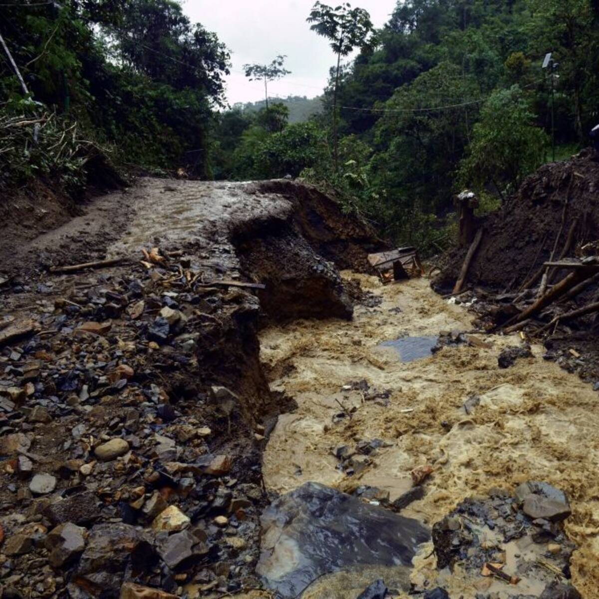 Creciente del río Cauca tiene en emergencia a diferentes municipios en Antioquia