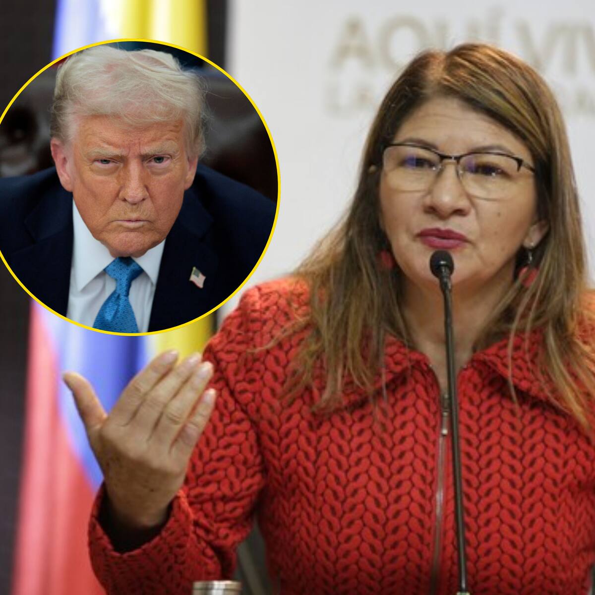 “Si Estados Unidos sube los aranceles, ¿por qué nosotros no?”: senadora Sandra Ramírez
