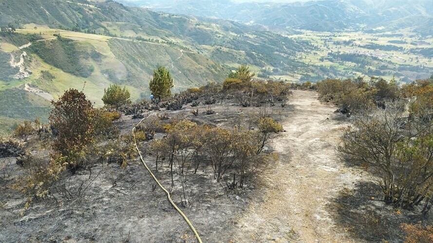 Las llamas quemaron bosques de pinos, vegetación nativa y pastos.. Foto: Bomberos Tunja