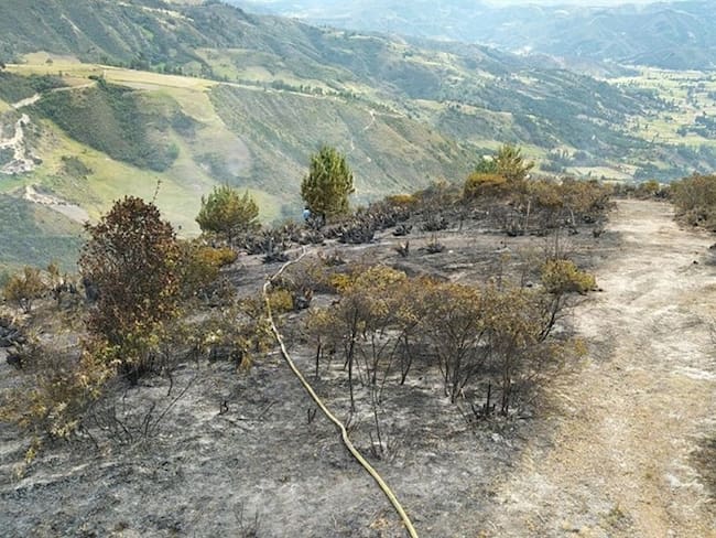 Las llamas quemaron bosques de pinos, vegetación nativa y pastos.. Foto: Bomberos Tunja