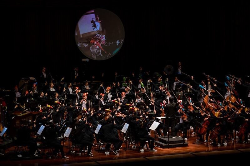 Filarmónica Joven Colombia tendrá nuevo formato en escenario: integrará otras artes