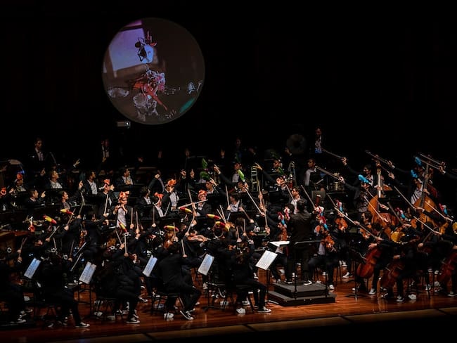 Filarmónica Joven Colombia tendrá nuevo formato en escenario: integrará otras artes