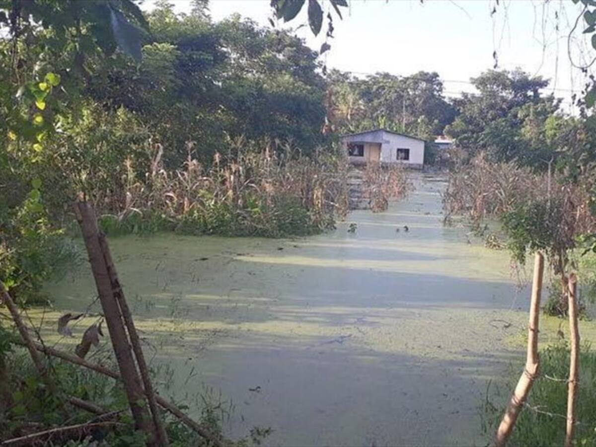 En calamidad pública se encuentran siete municipios de Córdoba por las fuertes lluvias
