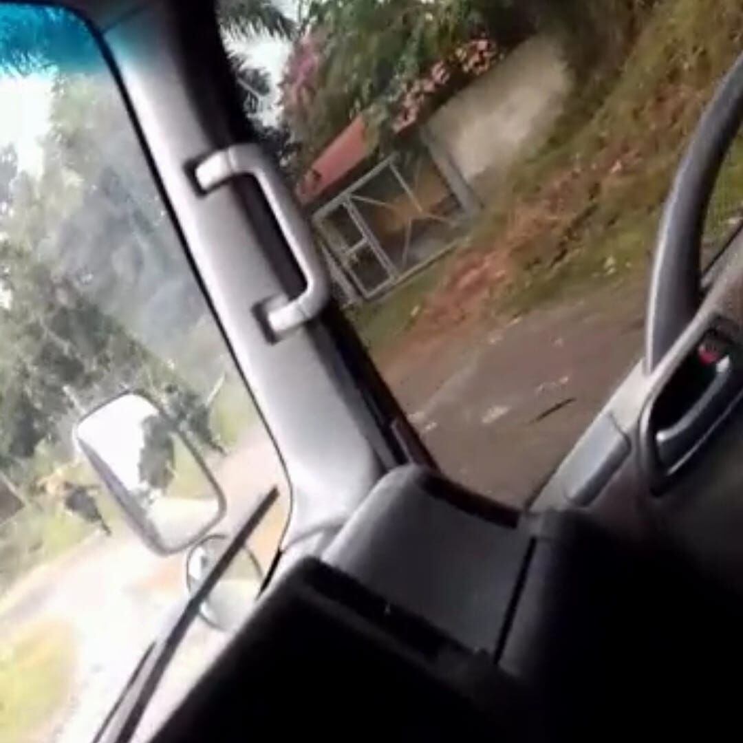 Se trata de dos vehículos de placas GSR 229 y KVX953. Crédito: Red de Apoyo Cauca.