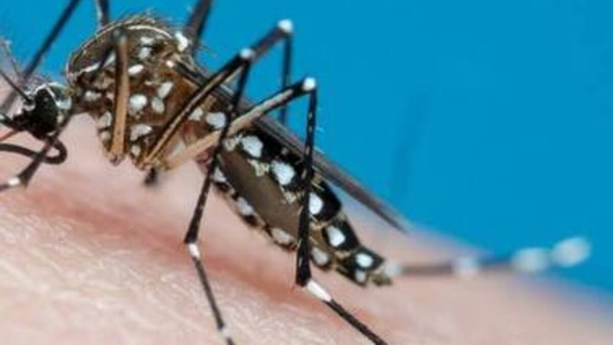 Ante incremento de casos de dengue, en Barranquilla aplican vacuna en contra del virus