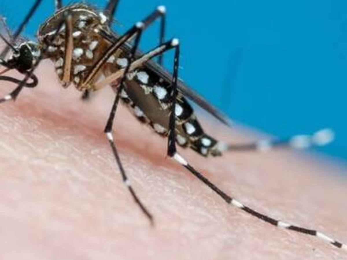 Ante incremento de casos de dengue, en Barranquilla aplican vacuna en contra del virus