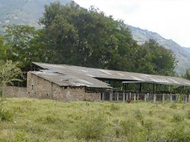 Imagen de referencia. Foto: Cisa