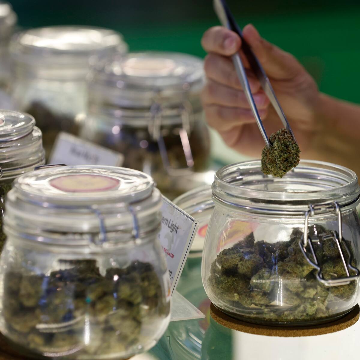 Regularización del cannabis fue radicado nuevamente en Congreso y tendrá su tercer round