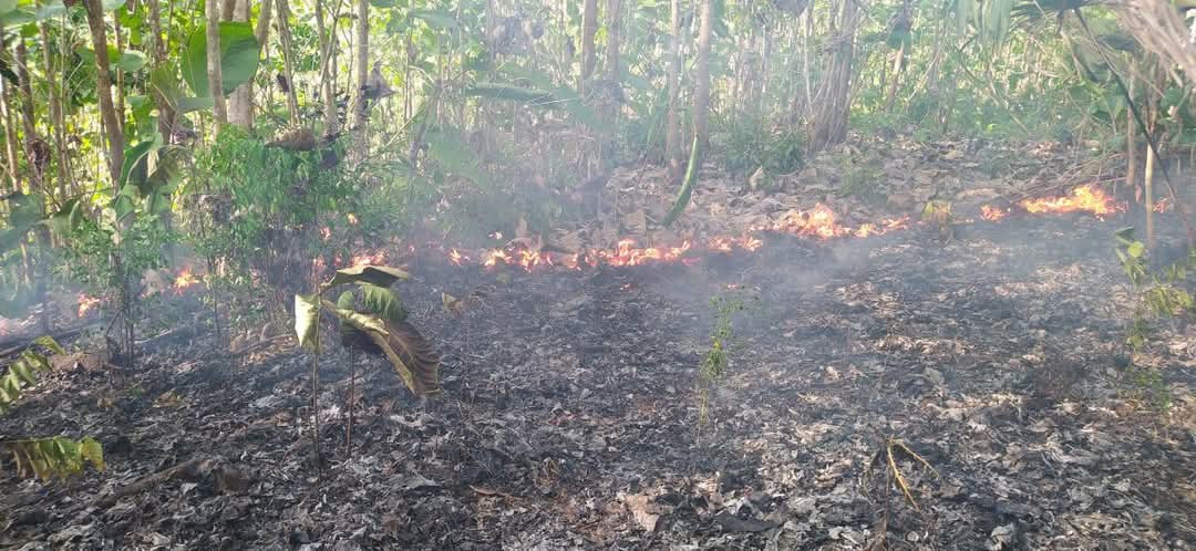 Incendio forestal consumió cerca de 20 hectáreas de vegetación en Canalete, Córdoba. Foto: UNGRD Córdoba.
