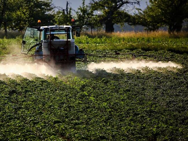 Trabajamos con la ANDI y con Bayer para información sobre glifosato: Alberto Schlesinger