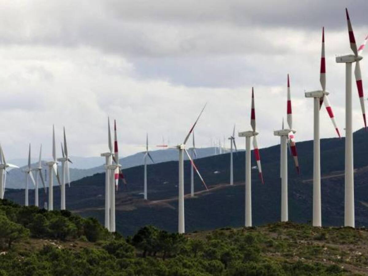 Fenoge confirmó que se investiga contratación que habría beneficiado a la familia Torres