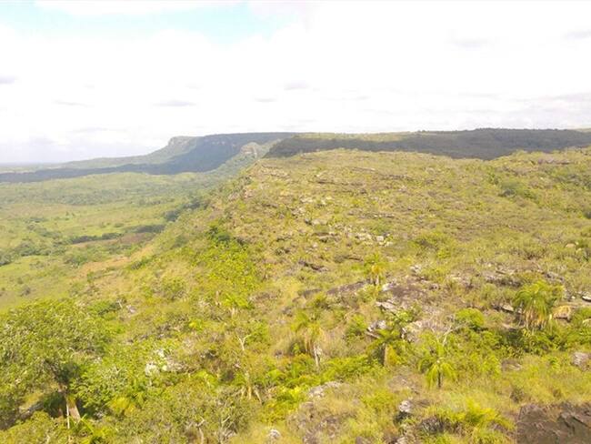Hasta 20 años tardaría recuperación de zona afectada por quemas en la Macarena