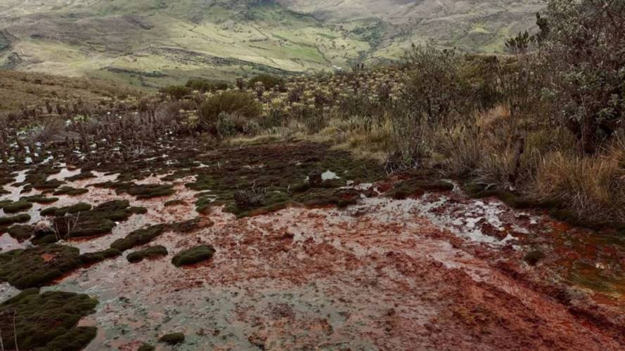 Más de 500 usuarios de los acueductos en Tasco están siendo afectados.
