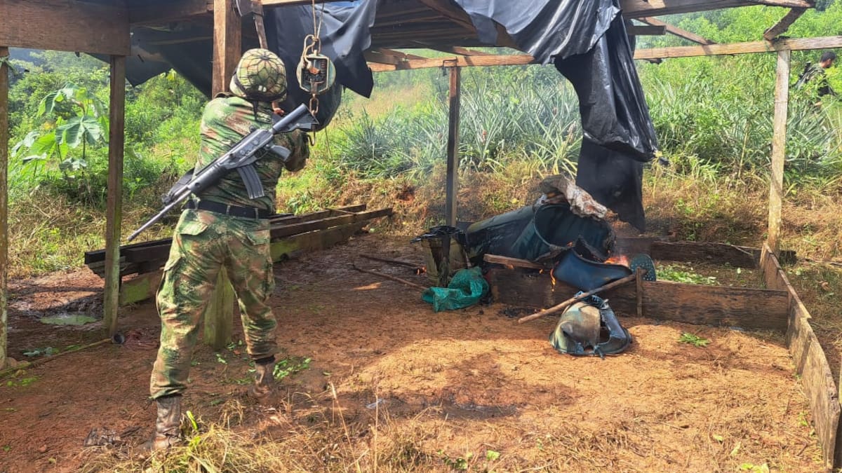 Destruyen siete laboratorios de pasta base de coca del Clan del Golfo en el sur de Córdoba