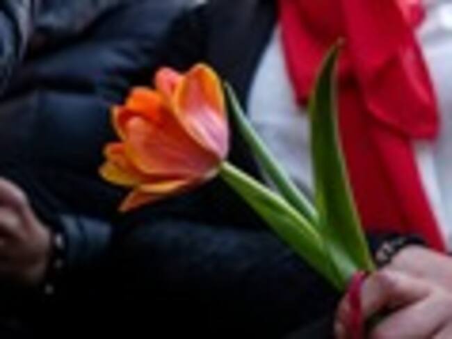 Foto: Andrei Pungoschi/Anadolu Agency/Getty Images.