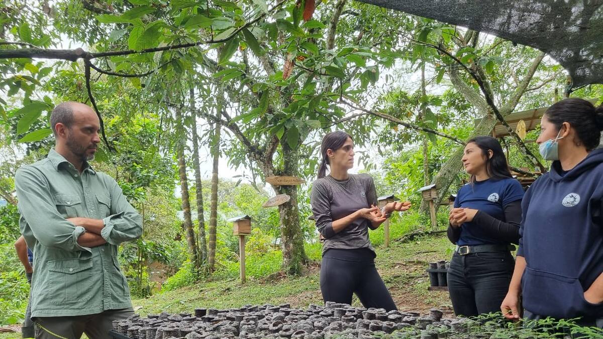 Indra y Centro de semillas se unen con un objetivo: restaurar el Amazonas